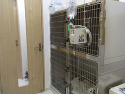 犬入院室